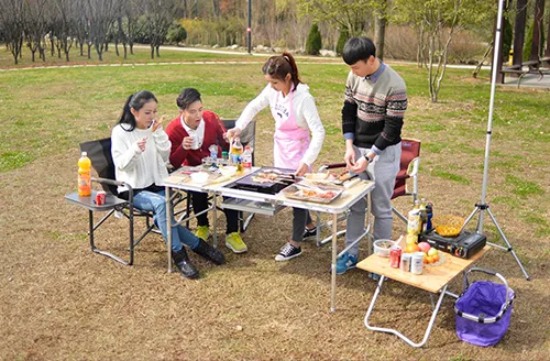 现代生活的多维枢纽：休闲椅的健康、社交与美学价值